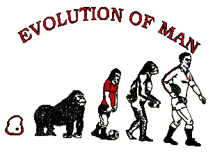 evolution.gif (10367 octets)