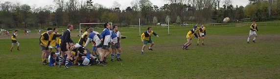 rugby1.jpg (29982 octets)
