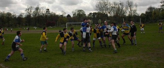rugby4.jpg (36846 octets)